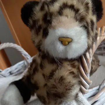 Peluche chat., Le chat