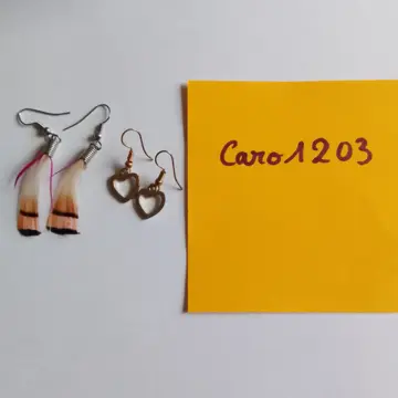 Boucles d'oreilles, Inconnue