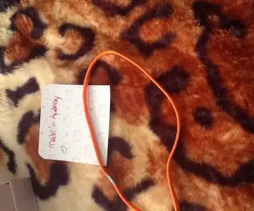 Headband, Inconnue