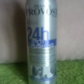 Mousse coiffante 24h Expert Brushing, Franck Provost