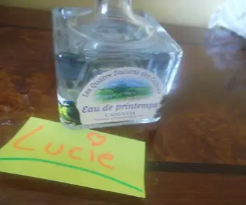 eau de parfum, Puy du fou