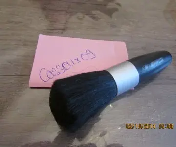 Pinceau, Modélite