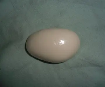 SAVON BIO, Inconnue