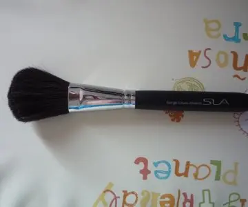 powder brush, SLA Paris
