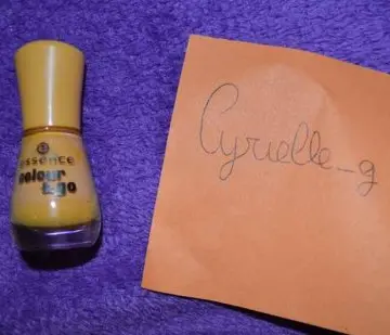 Vernis, Essence
