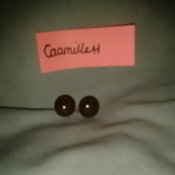 Boucles d'oreilles, Mim