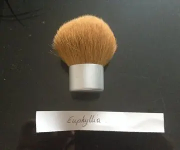 Kabuki, Couleur Caramel