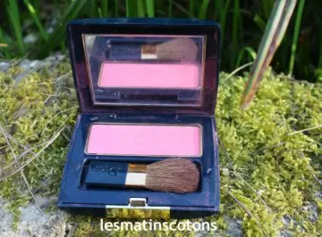 Blush DIOR, Dior