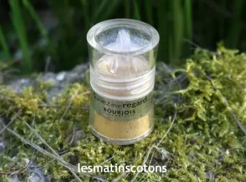Fard à paupières, Bourjois