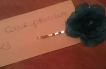 Barrette rose, Claire's
