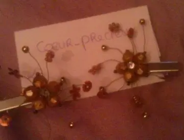 barrette perle, Inconnue