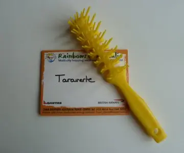 Brosse à cheveux, Inconnue