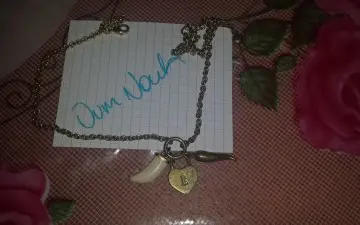 collier, Fossil