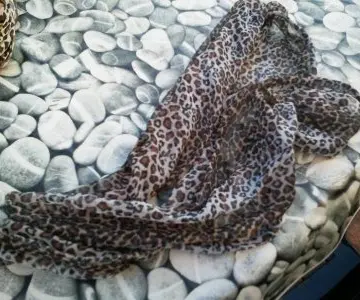 Foulard leopard, Primark