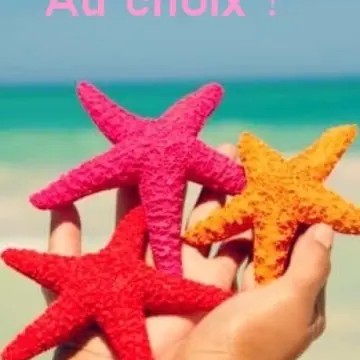 Prend ce qui te plaît !, Inconnue
