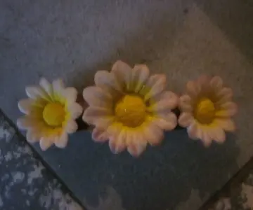 Pince fleurs, Inconnue