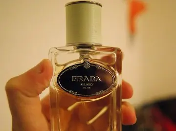 Infusion d, Prada