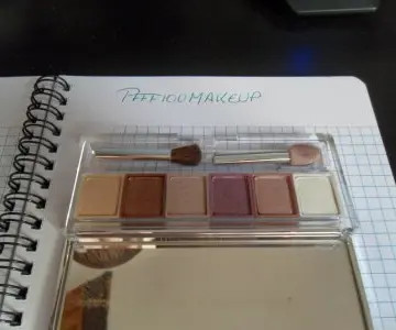 Palette Clinique, Clinique