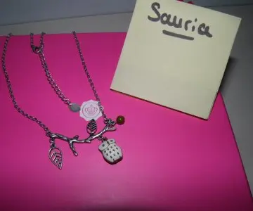 collier chouette, Claire's