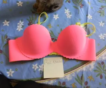 Lingerie   Soutien gorge., Carla's secret