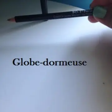 Crayon à lèvre marron, BO T Paris