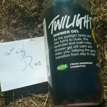 twilight gel douche, Lush