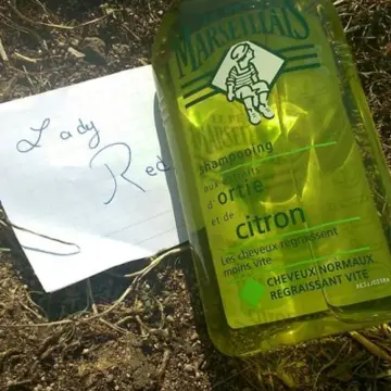 shampoing cheveux régressant vite, Le petit marseillais