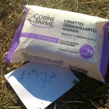 lingettes démaquillantes, Corine de Farme