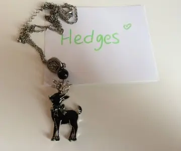 Collier sautoir, Inconnue