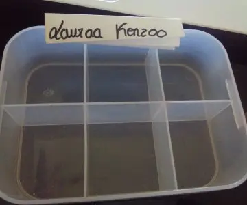 rangement maquillage, Inconnue