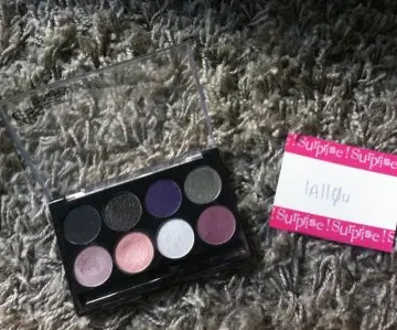 Palette maquillage ton rosé, ESS Cosmetics