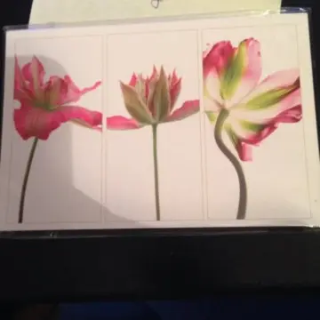 carte postal, Yves Rocher
