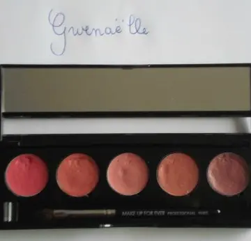 Palette 5 rouges à lèvres n°11, Make Up For Ever