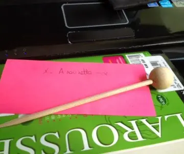 épingle en bois, Inconnue