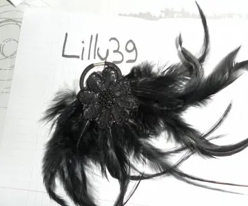 elastique plumes strass noir, Inconnue