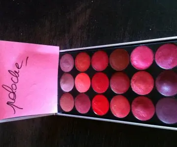 Palette de rouge à lèvres, Visign Pro