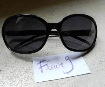 Paire de lunettes de soleil, Inconnue