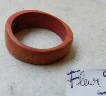 Bague en bois de coco, Inconnue