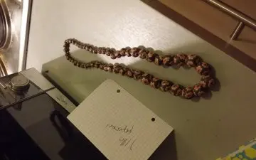 collier à fleur, H&M