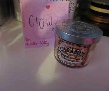 Bougie 1 meche bath and body works, Bath & Body works