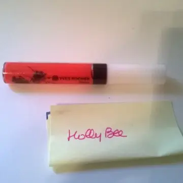 gloss yves rocher, Yves Rocher