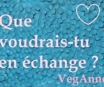 Que voudrais tu en échange ?, Inconnue