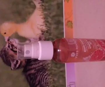 Fixateur Maquillage, Yves Rocher