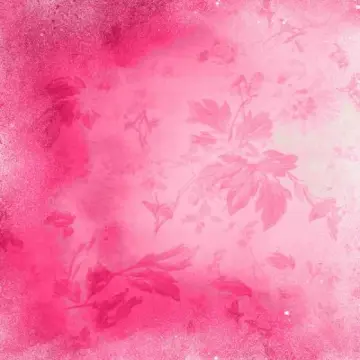 choisis ce que tu veux!, Inconnue