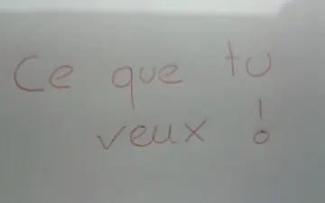ce que tu veux, Yves Saint Laurent