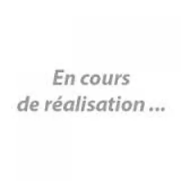 Soin pré sérum Ultimune, Shiseido