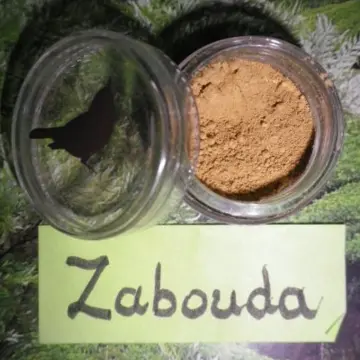 Fond de teint, Alima Pure