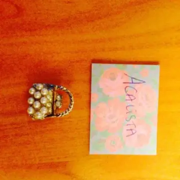 Broche sac à main, Inconnue