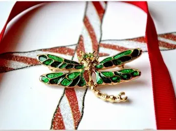 Broche Libellule, Inconnue