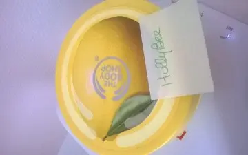 Beurre corporel citron, The Body Shop